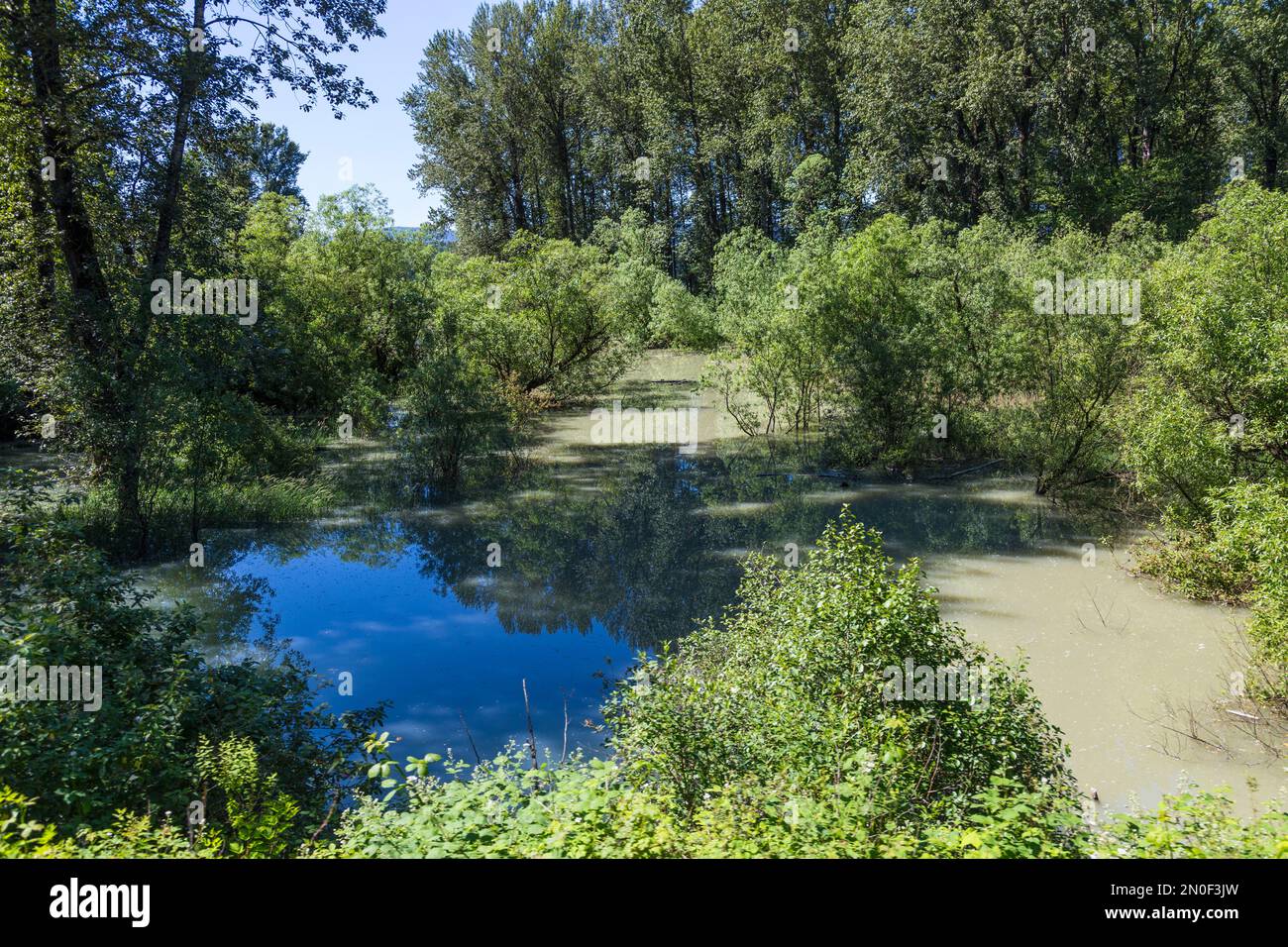 Il fiume scorre verso la terra vicina Foto Stock