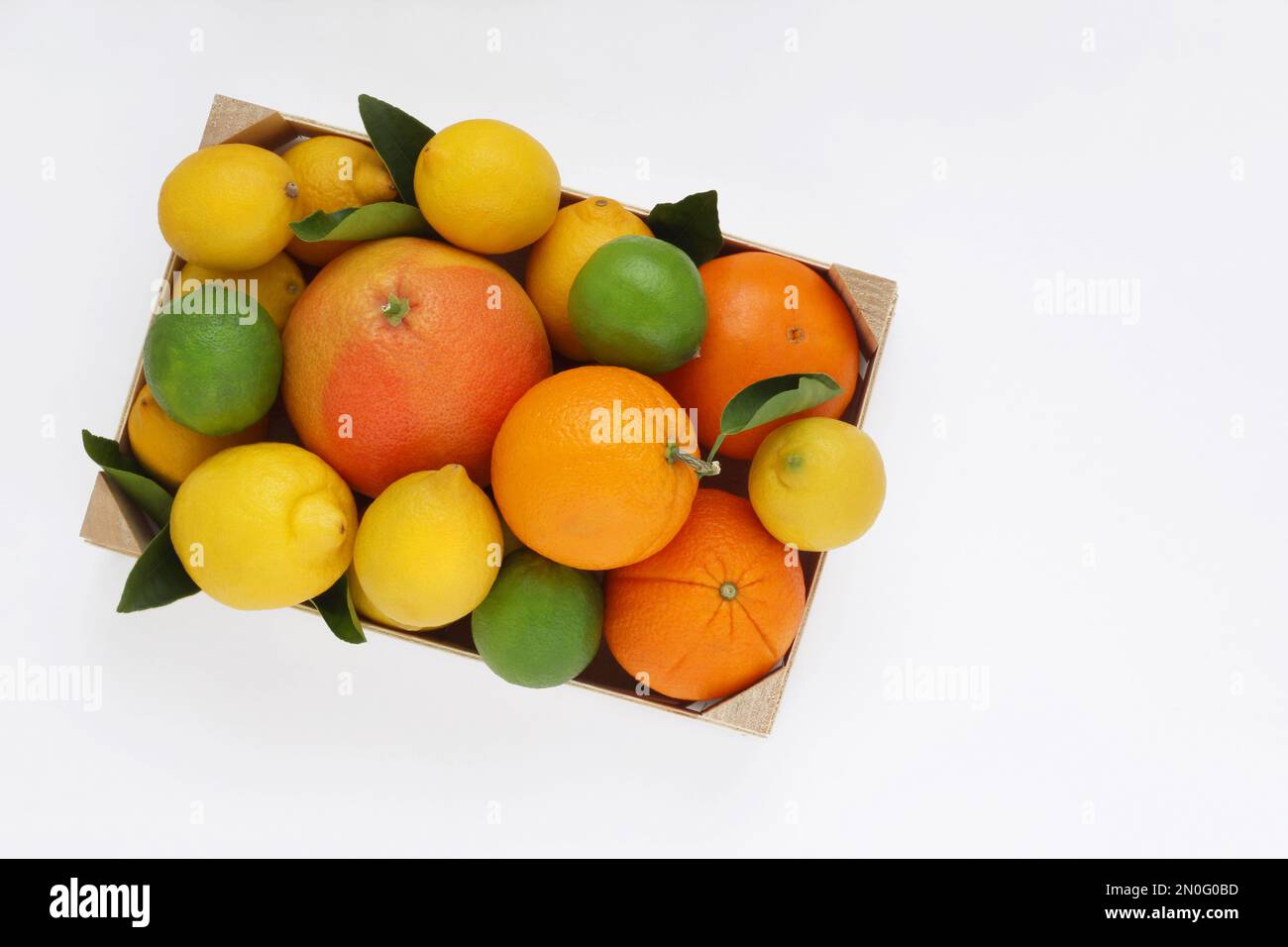 Mix di agrumi, arance, pompelmo, limoni e lime con foglie in scatola di legno su sfondo bianco, vista da tavolo. Foto dall'alto. Foto Stock