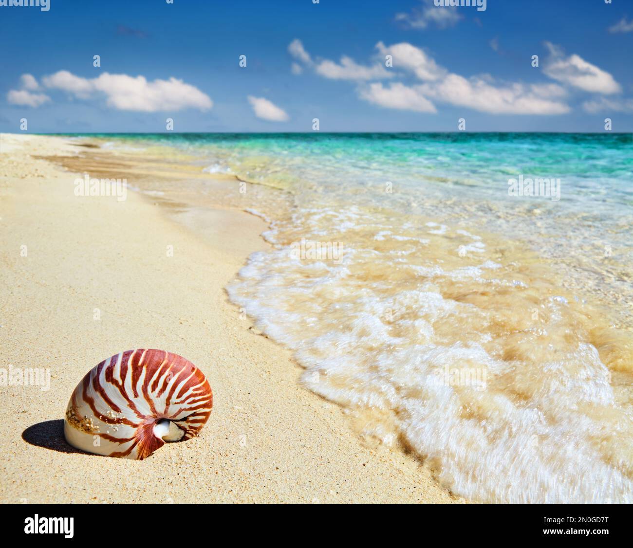 Spiaggia tropicale con mare turchese, cielo blu e conchiglie Foto Stock