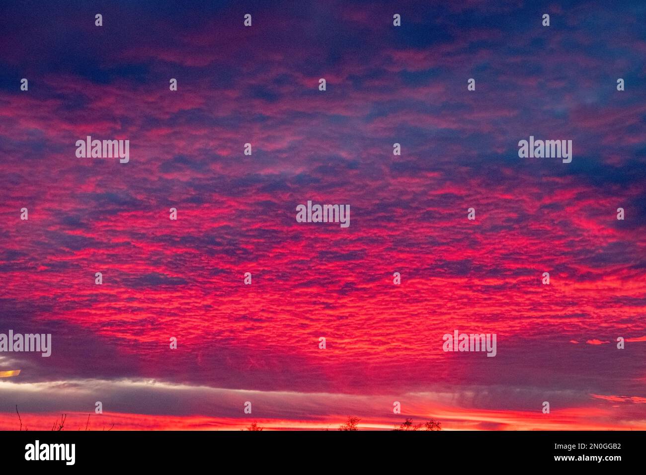 Cielo rosso, tramonto su Cheshire UK Foto Stock