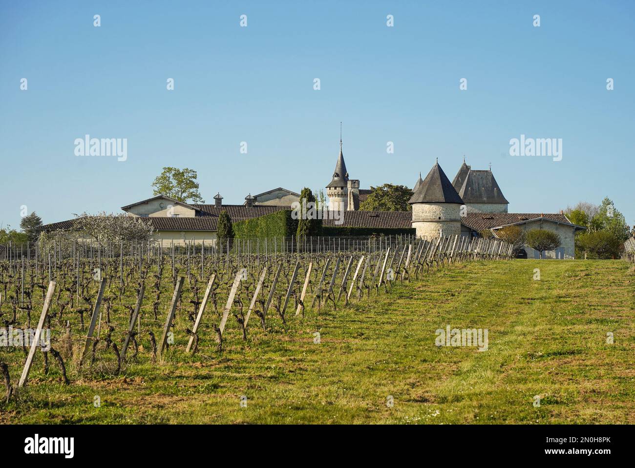 Wine Estate Chateau Carignan, castello, Carignan de Bordeaux, Francia. Foto Stock