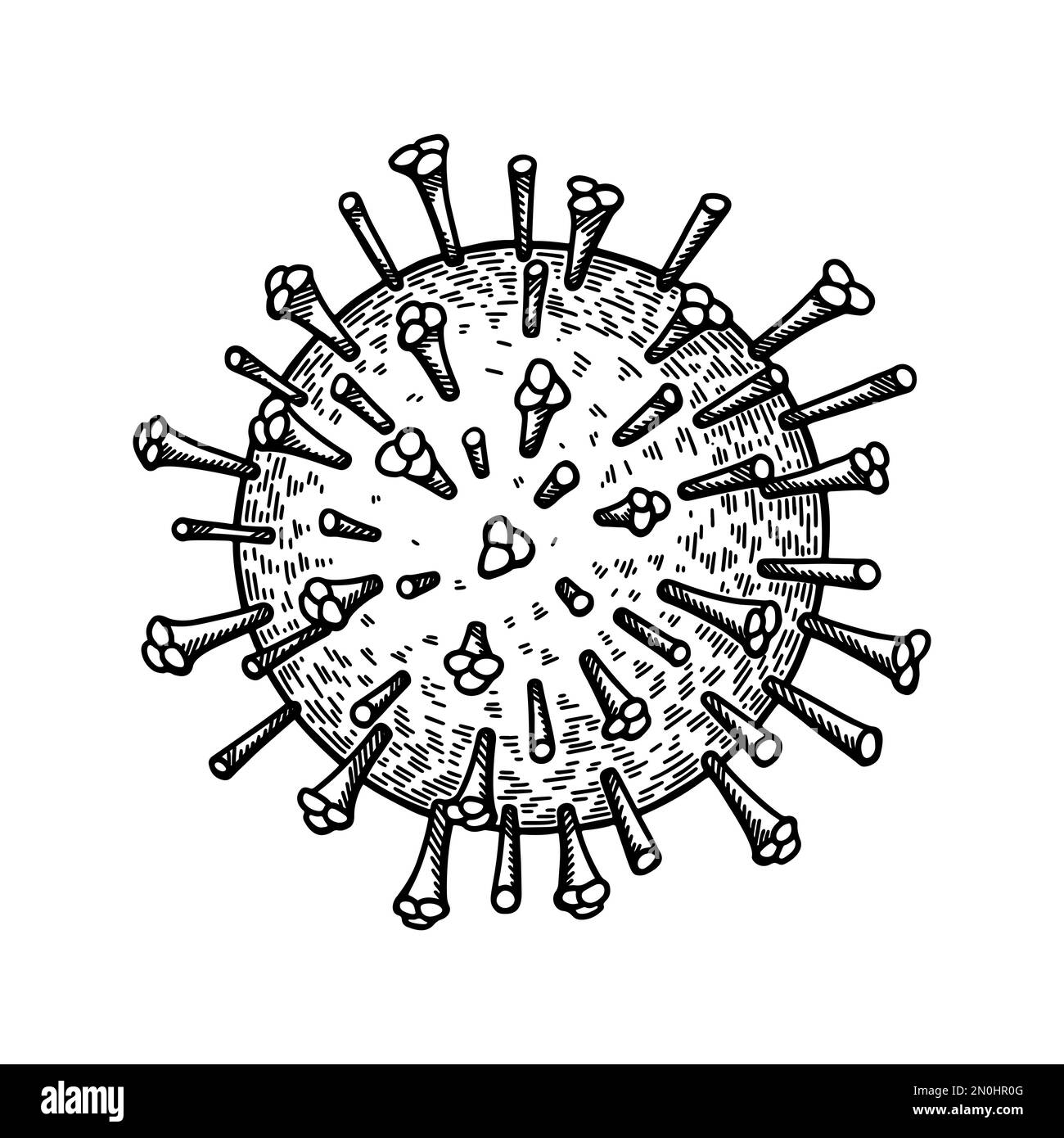 Virus dell'influenza isolato su sfondo bianco. Disegno a mano realistico dettagliato vettore scientifico illustrazione in stile di schizzo Illustrazione Vettoriale