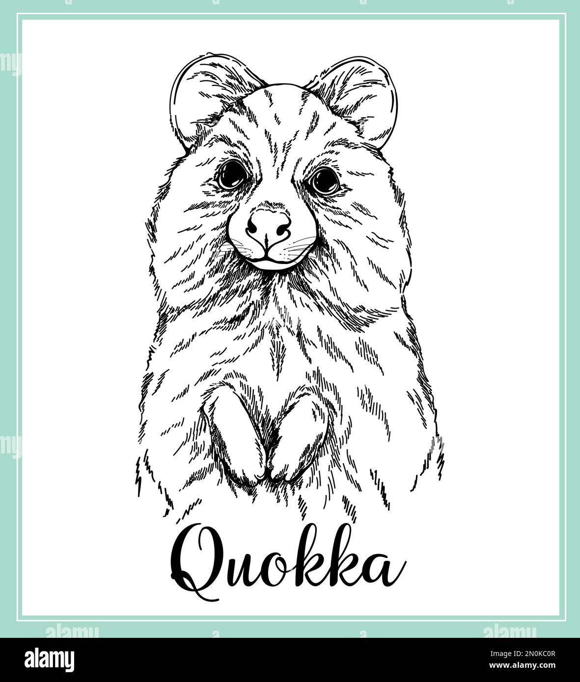 Schizzo disegnato a mano in stile Quokka isolato su sfondo bianco. Illustrazione vettoriale. Illustrazione Vettoriale