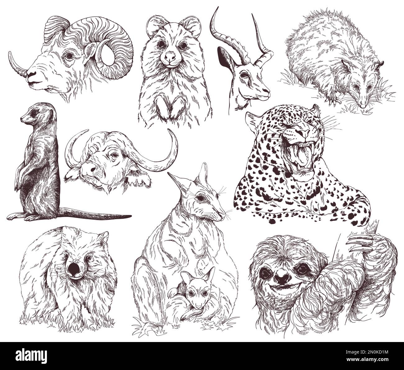 Set di disegnato a mano stile sketch animali isolati su sfondo bianco. Illustrazione Vettoriale. Illustrazione Vettoriale