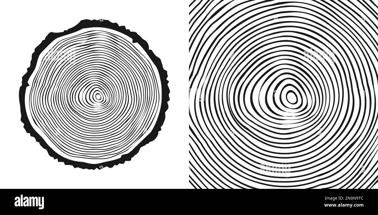 Tronco di albero rotondo tagliato, segato pino o fetta di quercia. Legname tagliato da poco, legno. Tessitura di legno con anelli di albero. Schizzo disegnato a mano. Illustrazione vettoriale Illustrazione Vettoriale