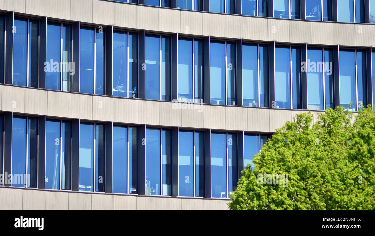 Architettura ecologica. Edificio verde con uffici in vetro. L'armonia della natura e della modernità. Riflesso di un moderno edificio commerciale in vetro con su Foto Stock