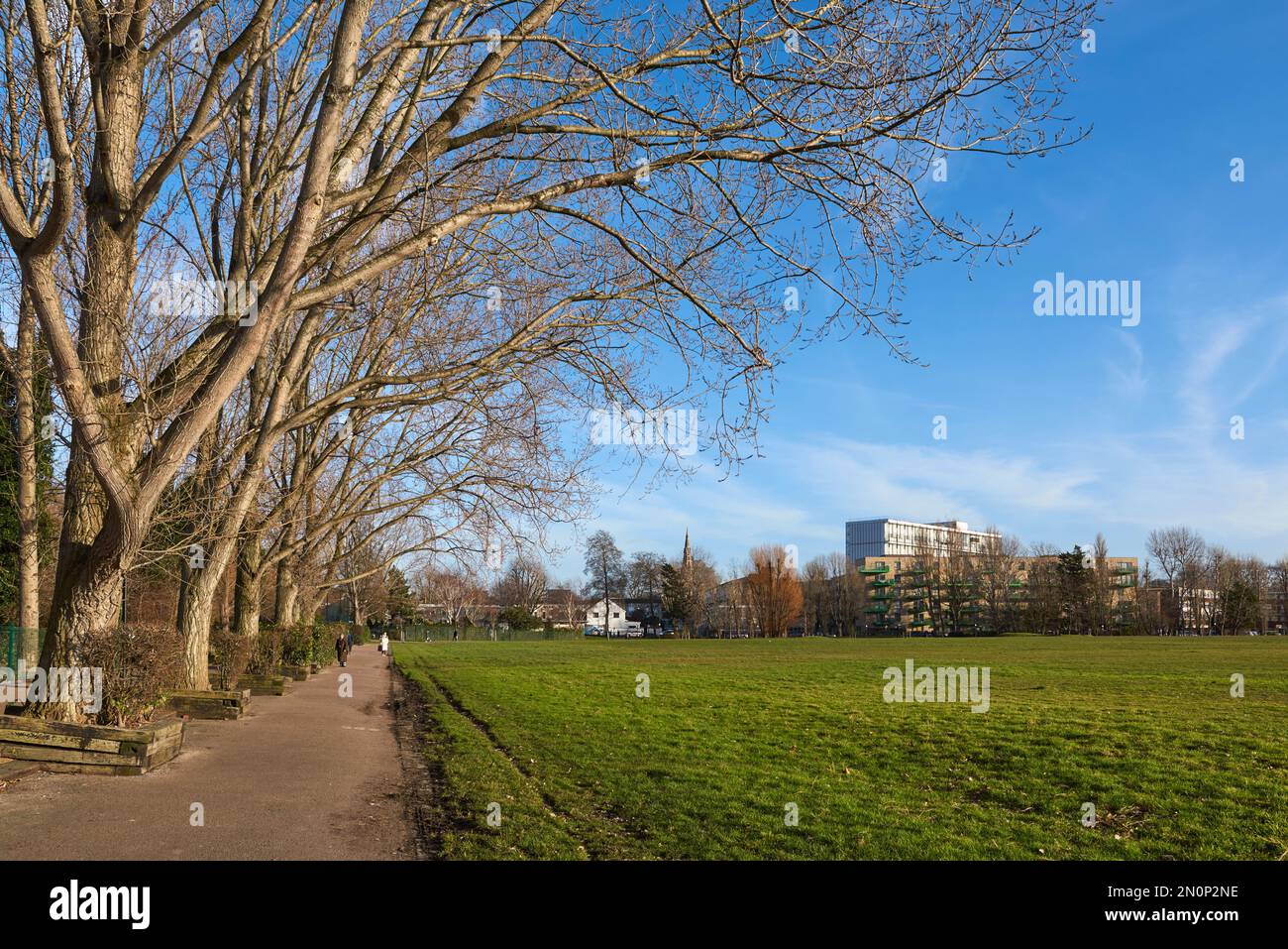 Millwall Park, nel Borough of Tower Hamlets, East London UK, in inverno Foto Stock
