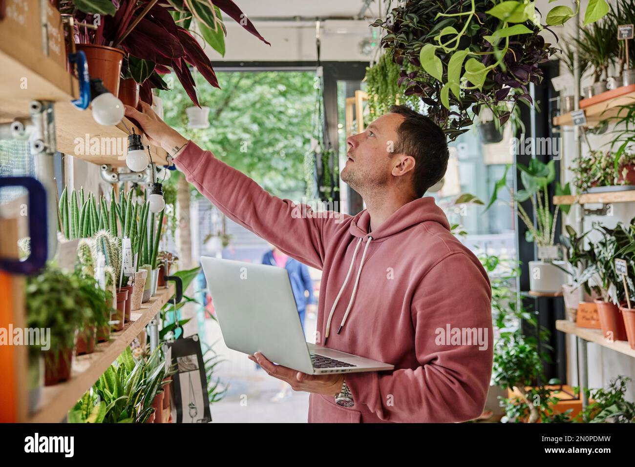 Uomo che fa scorta usando il laptop in negozio di fiori Foto Stock