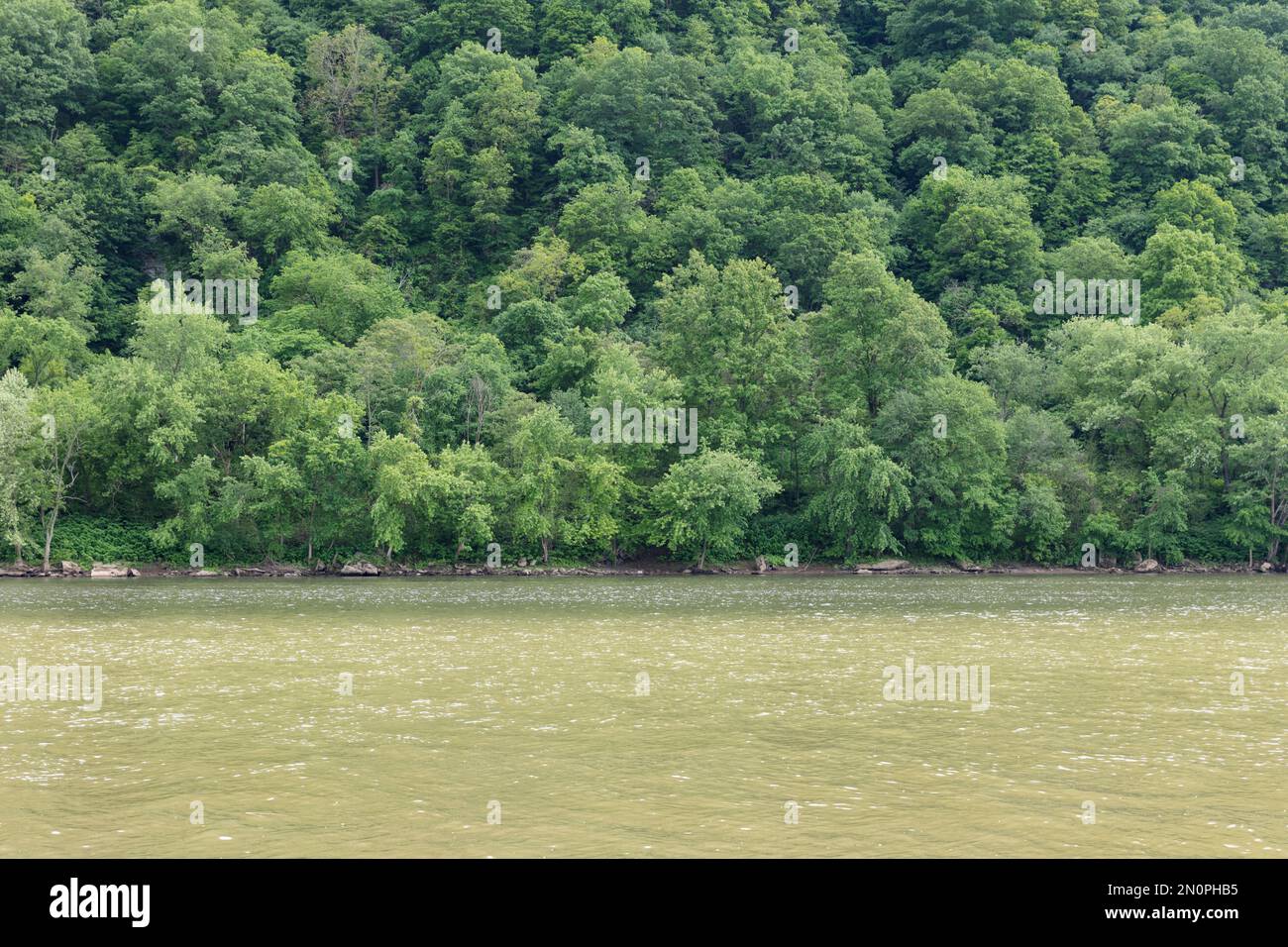 Lussureggiante e verde foresta lungo il fiume Allegheny, Freeport, Pennsylvania Foto Stock