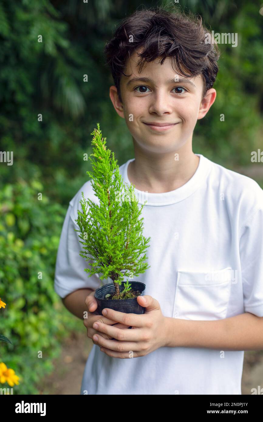 Un ragazzo che tiene un piccolo albero che si insaputa in una pentola, in piedi in un giardino. Foto Stock