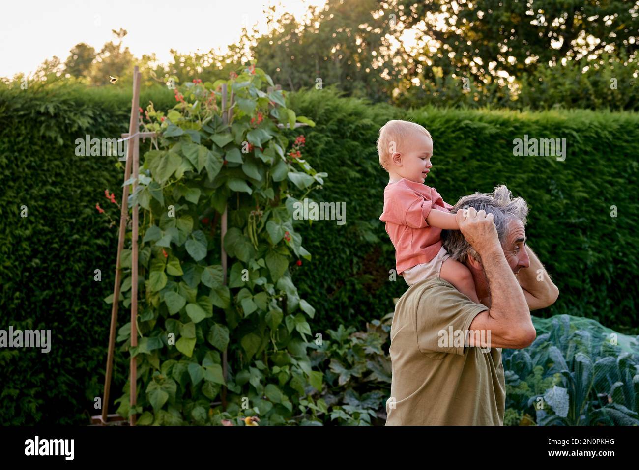 Nonno che porta il bambino sulle spalle camminando in giardino Foto Stock