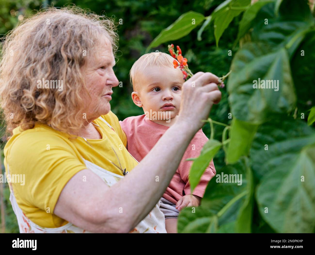 Nonna che guarda il fiore con il bambino in giardino Foto Stock