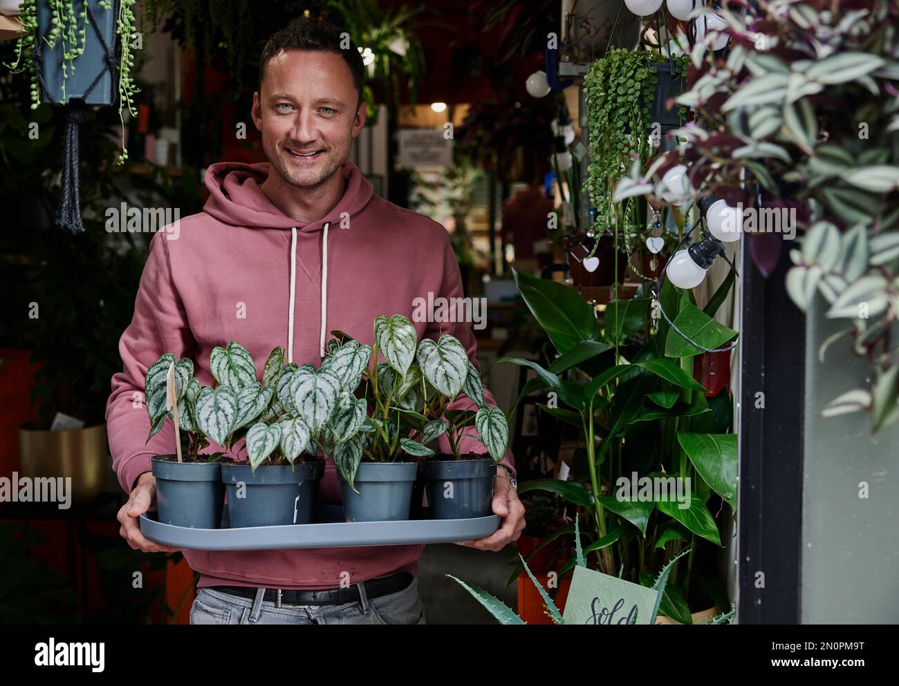 Ritratto di uomo che tiene vassoio di piante nella porta del negozio di fiori Foto Stock