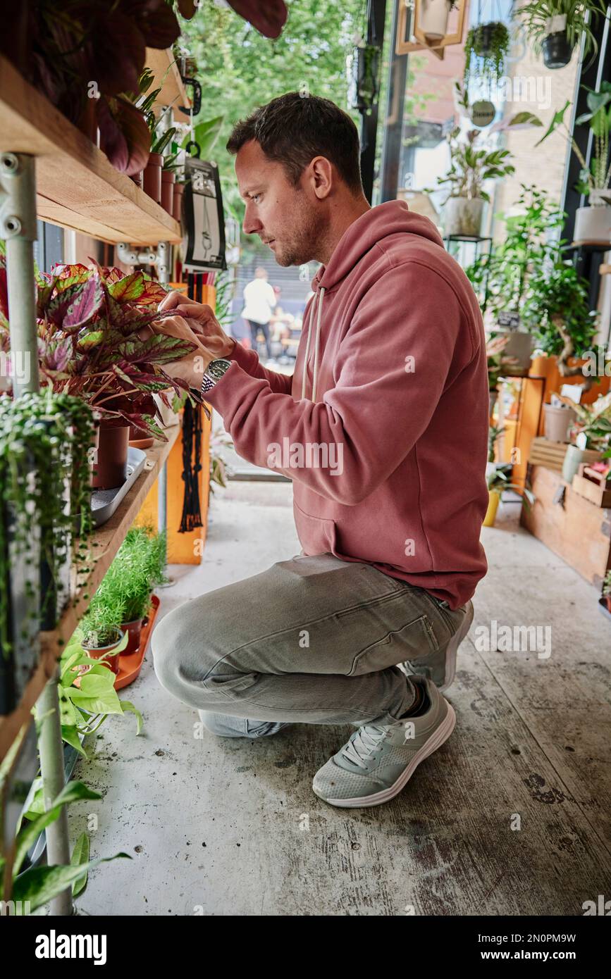 Uomo che tende piante in negozio di fiori Foto Stock