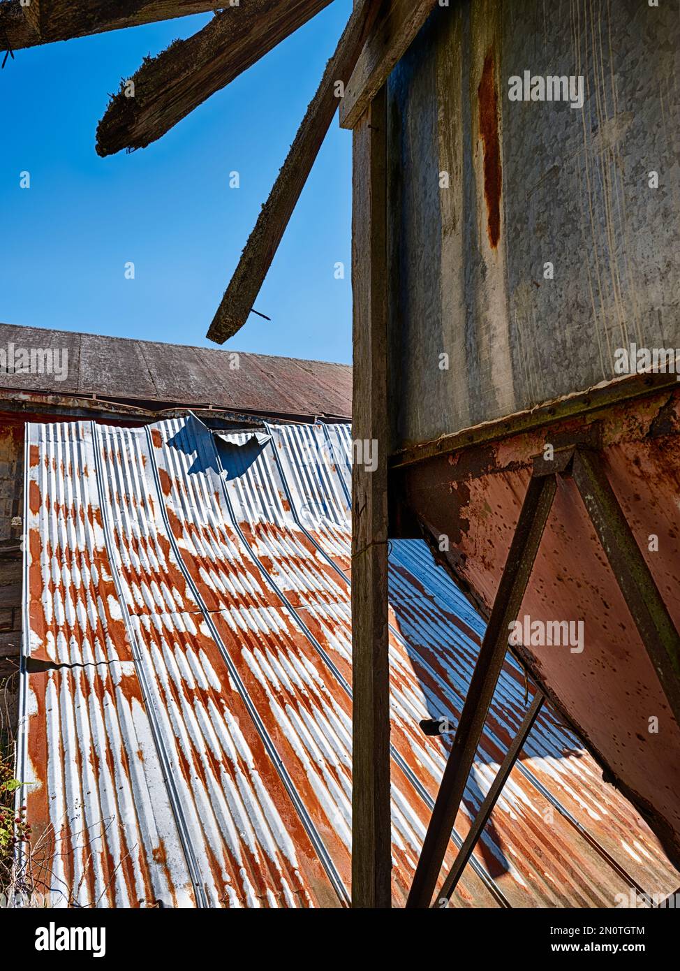 Un tetto di stagno ondulato è arrugginito presso gli edifici agricoli del Northern state Hospital nello stato di Washington. Foto Stock