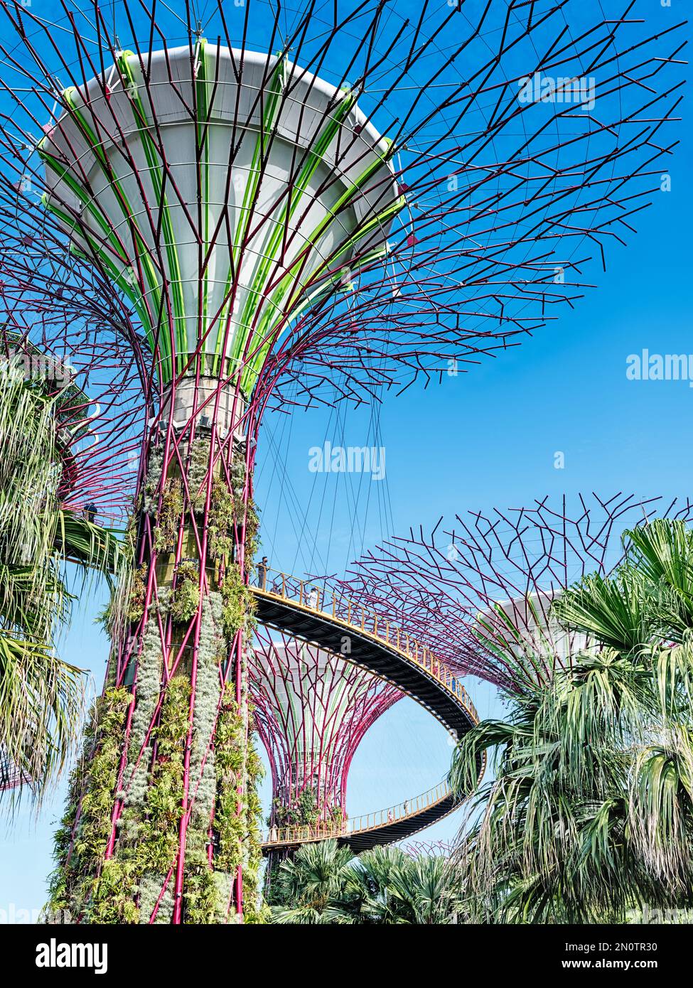 Uno dei superalberi sparge i suoi rami sopra i Giardini della Baia di Singapore. Foto Stock