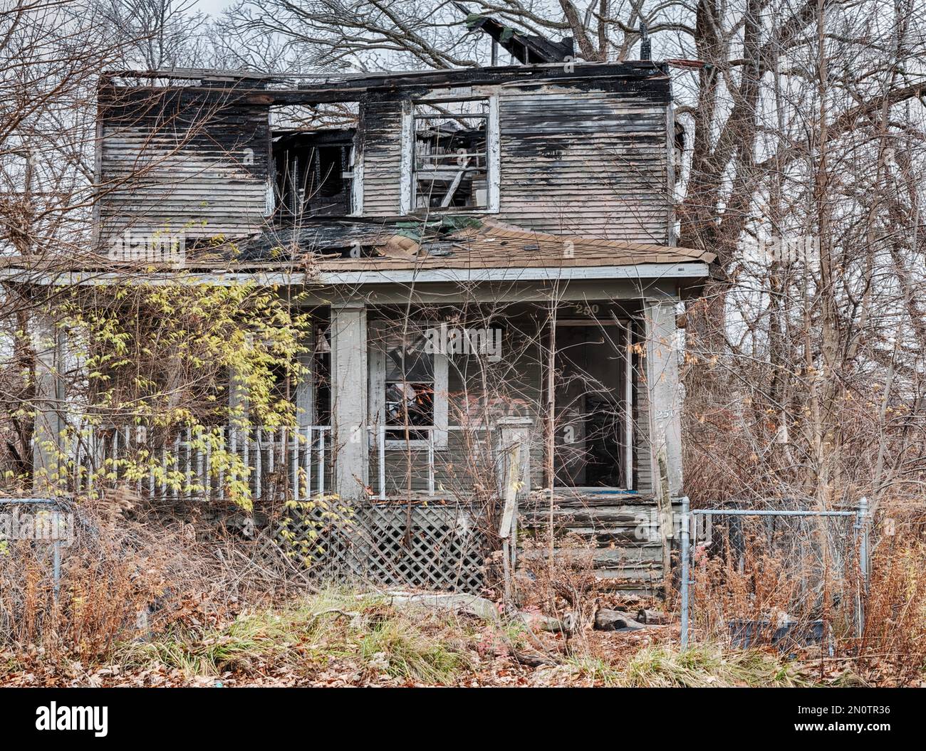 Il faro urbano si rifende lentamente in una casa abbandonata nella sezione Highland Park di Detroit. Foto Stock