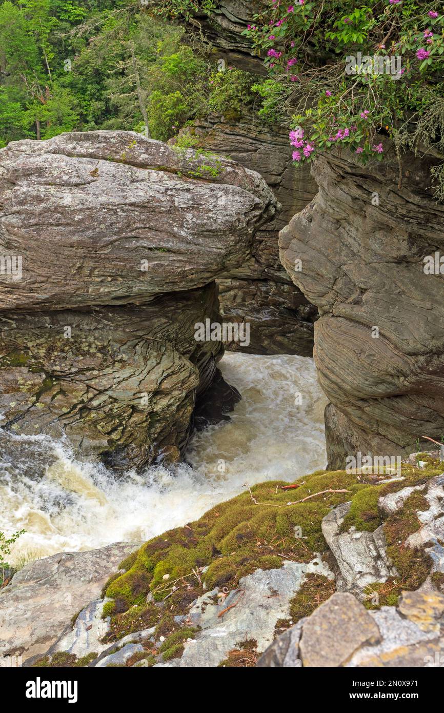L'acqua che si abbassa lungo uno stretto scivolo nella gola di Linville nel North Carolina Foto Stock