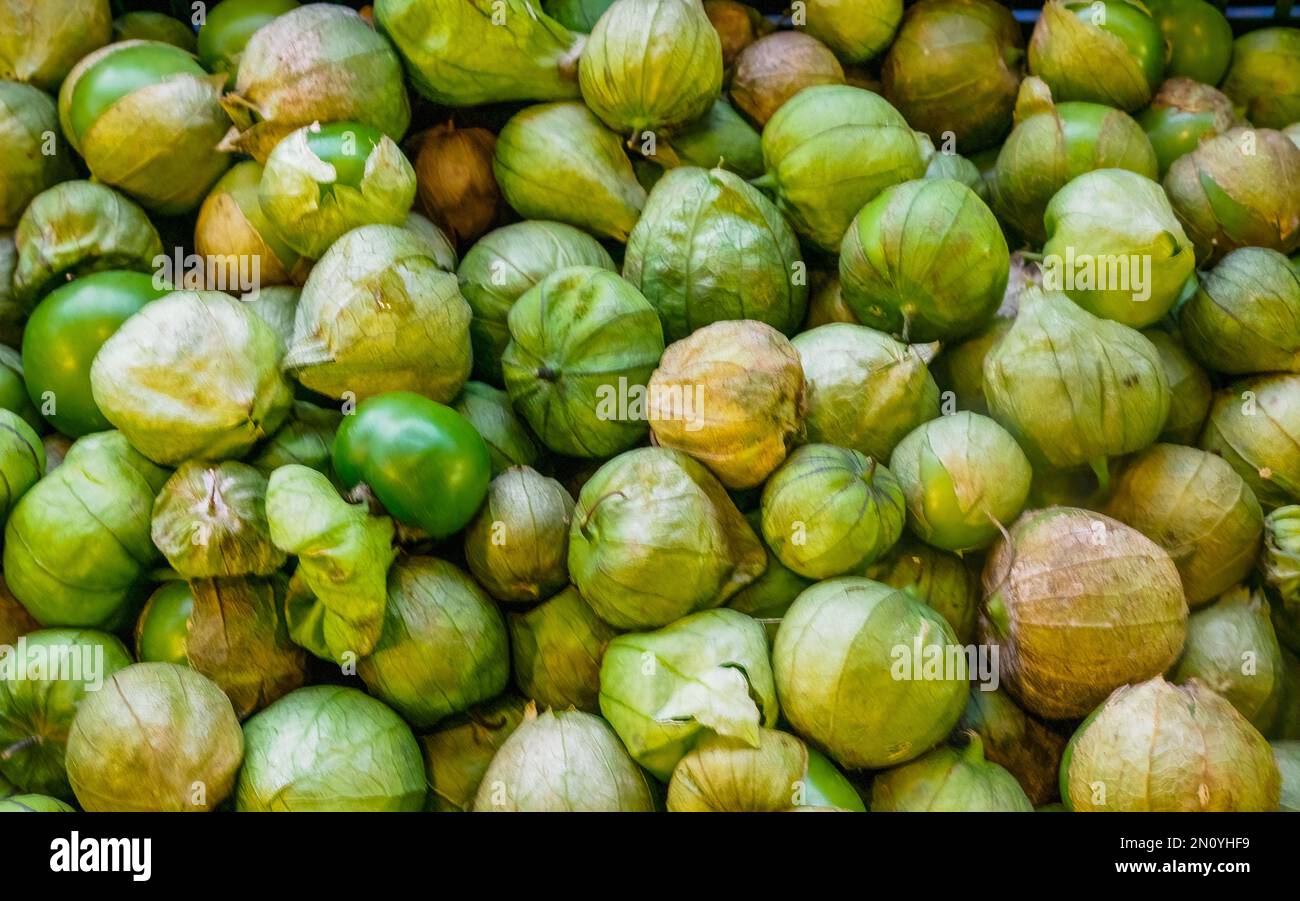 Tomatillo Messicano biologico - un ingrediente biologico sano che mostra alcuni in buccia e alcuni al di fuori della buccia. Foto Stock