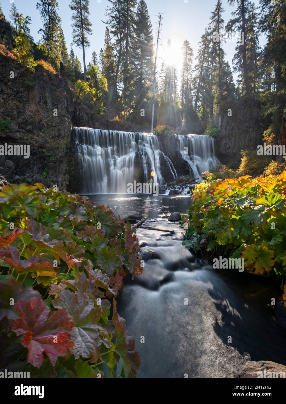 Middle Falls, cascata in autunno, fiume McCloud, contea di Siskiyou, California, Stati Uniti, Nord America Foto Stock