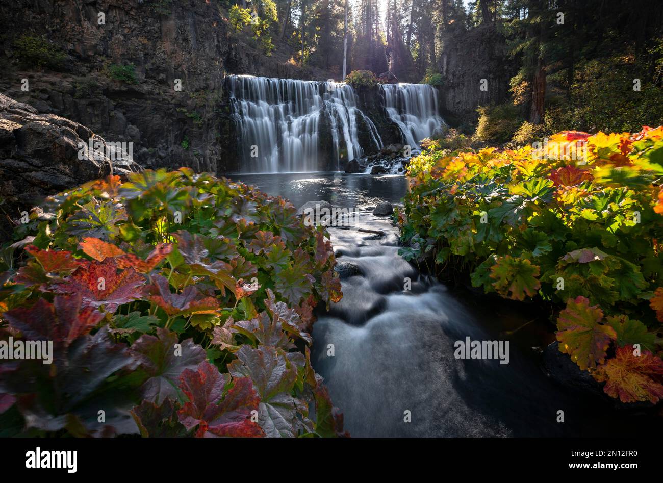 Middle Falls, cascata in autunno, fiume McCloud, contea di Siskiyou, California, Stati Uniti, Nord America Foto Stock