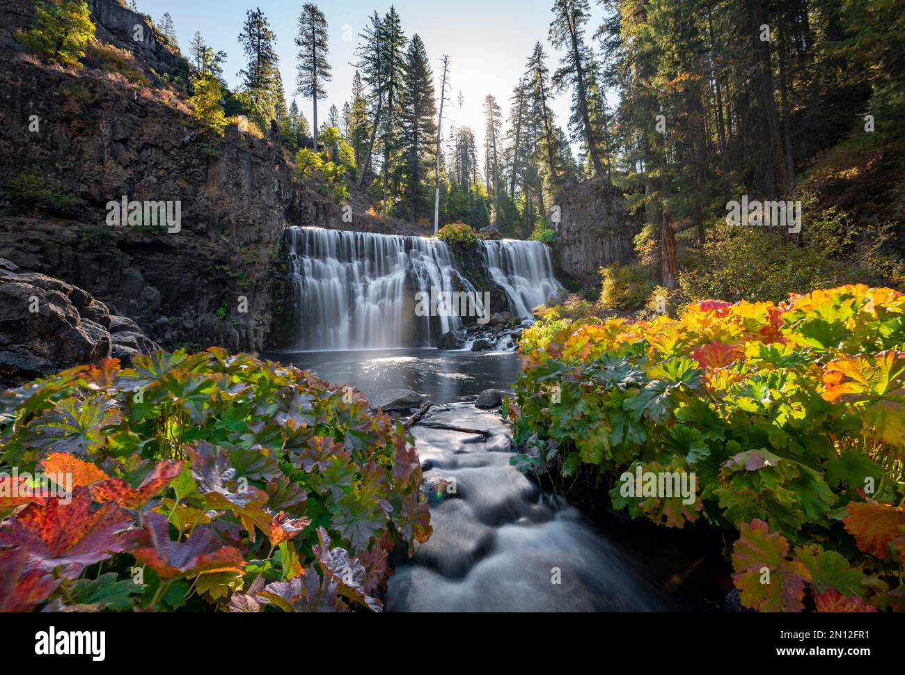 Middle Falls, cascata in autunno, fiume McCloud, contea di Siskiyou, California, Stati Uniti, Nord America Foto Stock