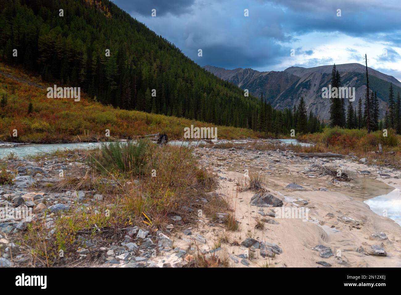 Il letto asciugante del fiume Shavla in autunno con pietre sullo sfondo di un cielo piovoso e montagne. Foto Stock