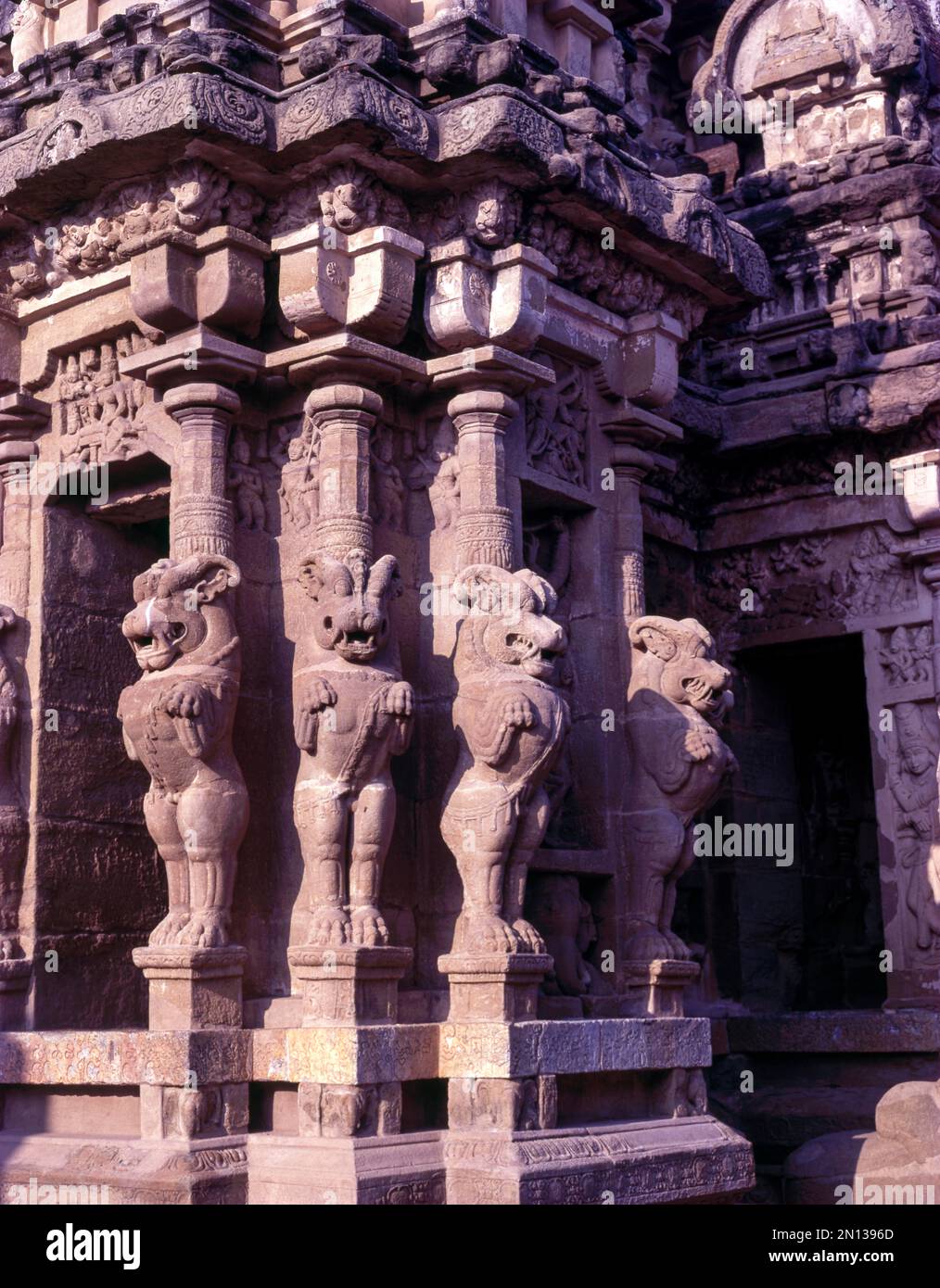 Tempio Kailasanatha costruito da Rajasimha Pallava, 8th ° secolo, Kancheepuram, Tamil Nadu, India. Tempio Kailasanathar costruito da Rajasimha Pallava, 8th cen Foto Stock