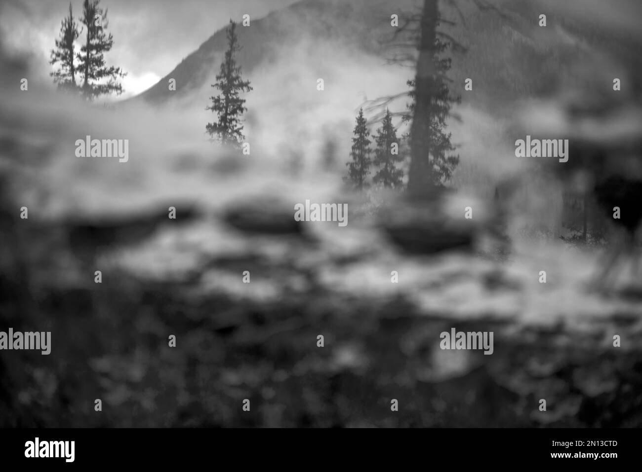 Foto astratta in bianco e nero di montagne e abeti riflessi nell'acqua. Foto Stock