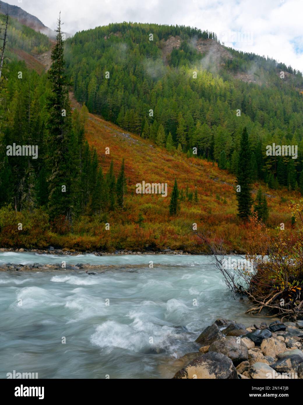 Un fiume alpino tempestoso con onde contro una riva di pietra e una montagna con nebbia che lascia la foresta dopo la pioggia al mattino. Foto Stock