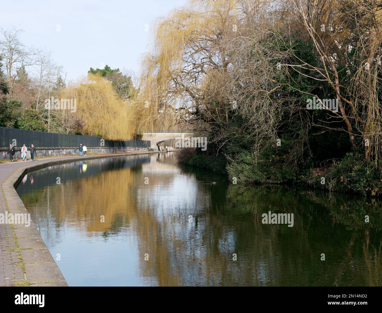 Persone che camminano lungo il canale dei reggenti in una giornata d'inverni mentre gli alberi si riflettono nell'acqua, Londra Inghilterra Foto Stock