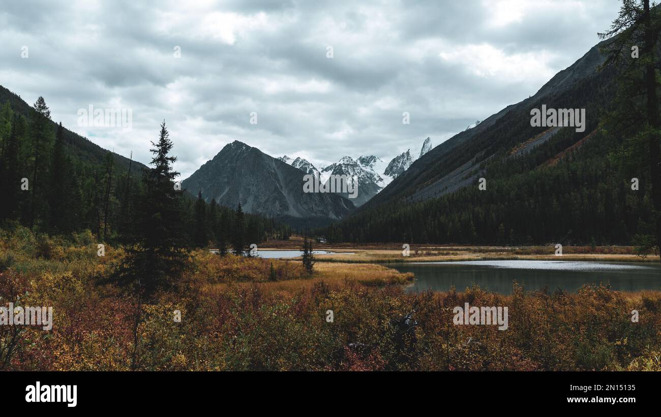 La baia del fiume alpino Shavla in montagna dalle cime con ghiacciai con alberi sulla riva in erba in autunno ad Altai. Foto Stock