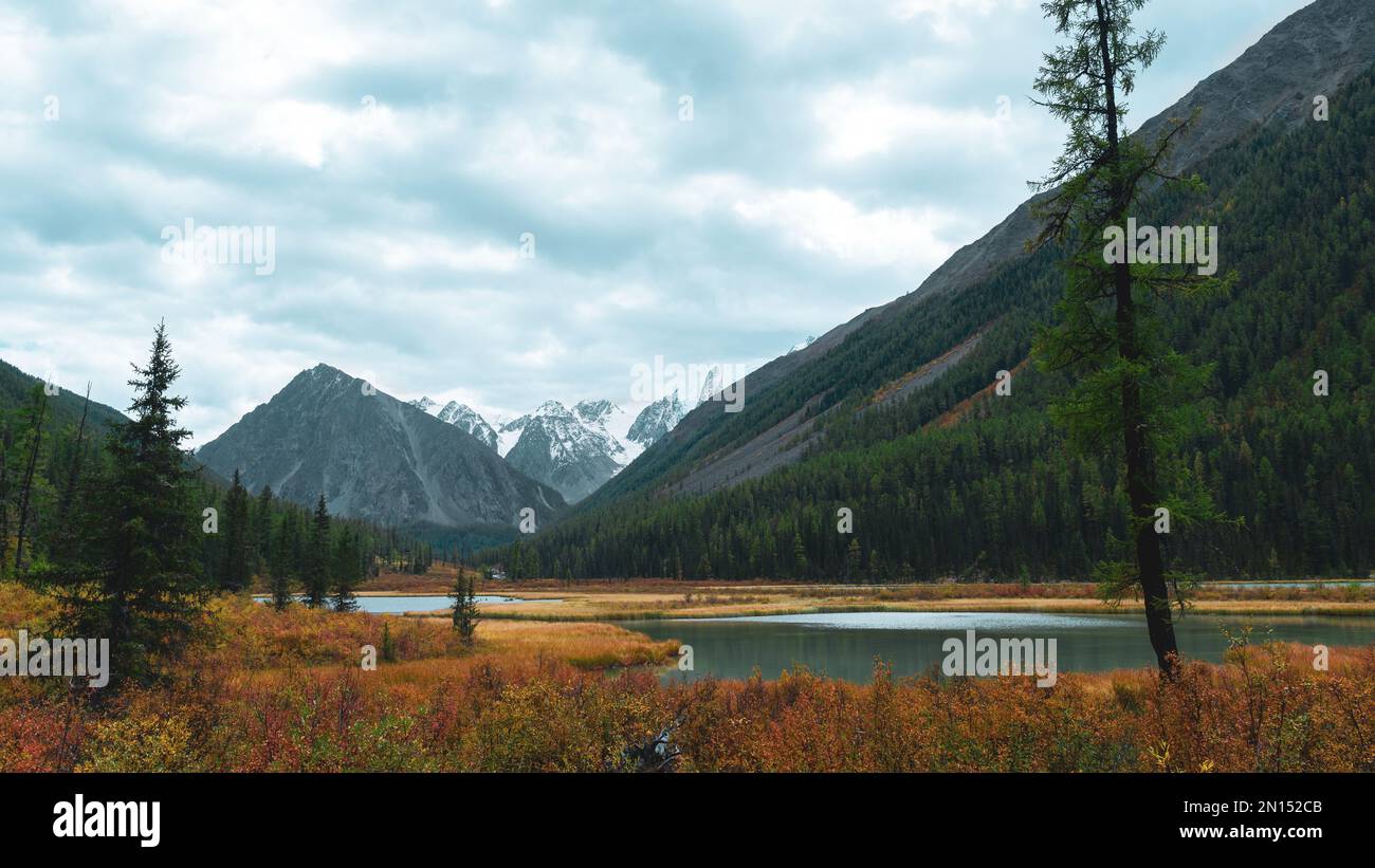 La baia del fiume Shavla in montagna dalle cime con ghiacciai con alberi sulla riva in erba in autunno ad Altai durante il giorno. Foto Stock