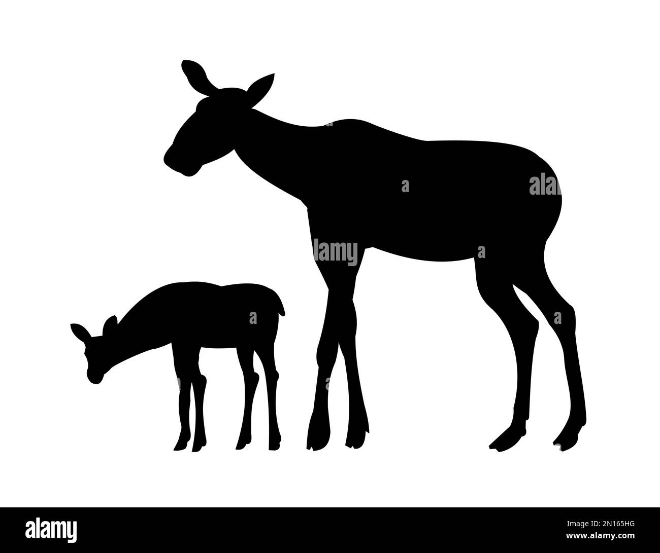 Immagine della silhouette. Animali in natura. Vettore. Moose femmina con cucciolo Elk. Isolato su sfondo bianco. Vettore. Illustrazione Vettoriale