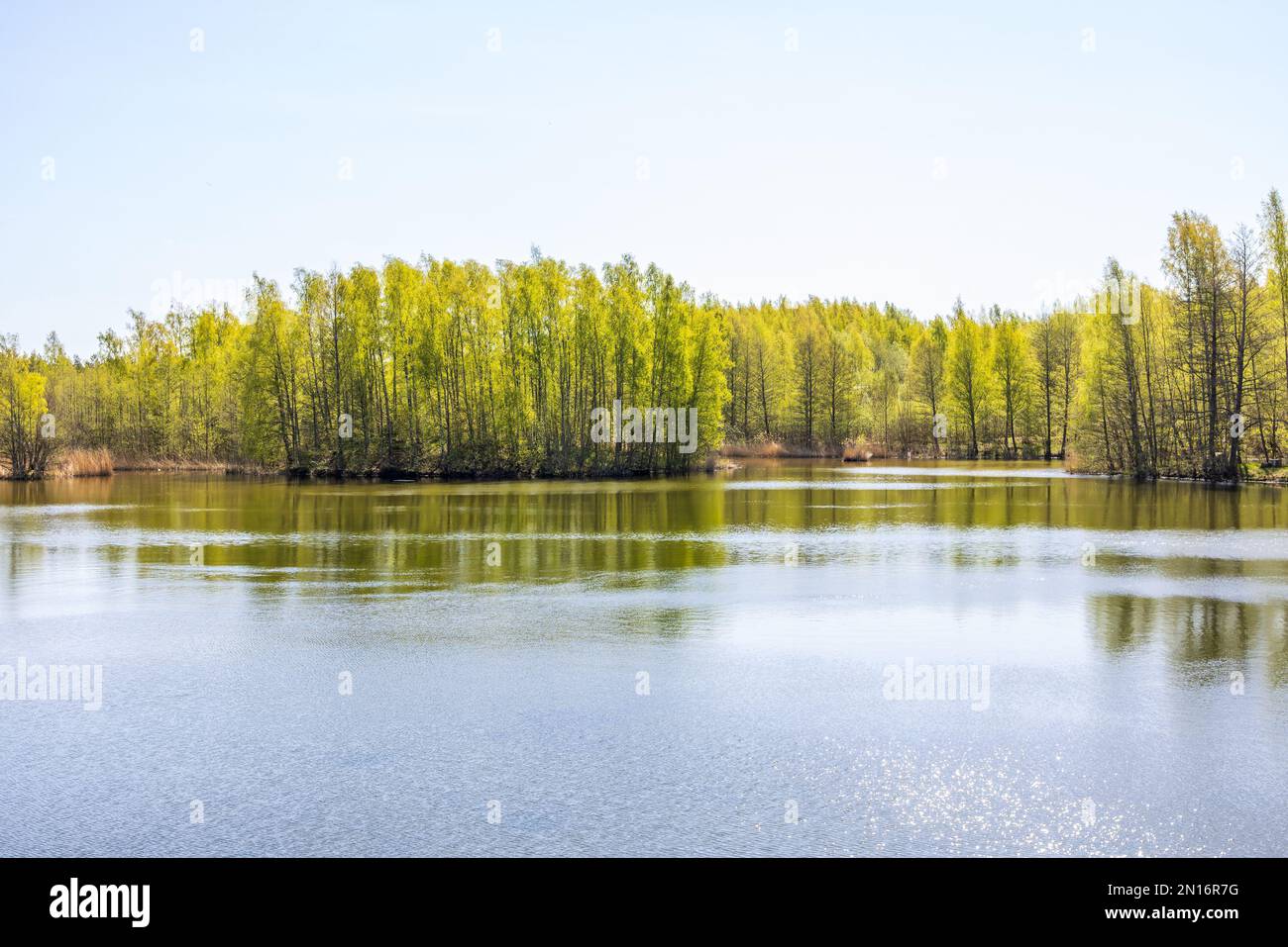 Primavera in un lago con verde lussureggiante foresta decidua Foto Stock