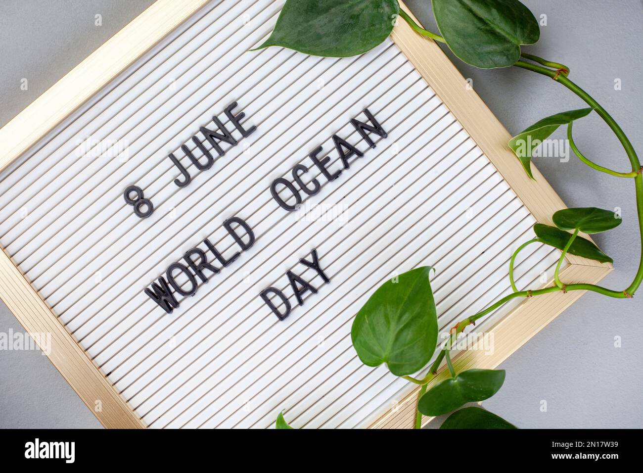 Giornata mondiale dell'oceano 8 giugno su cartoncino con sfondo grigio Foto Stock