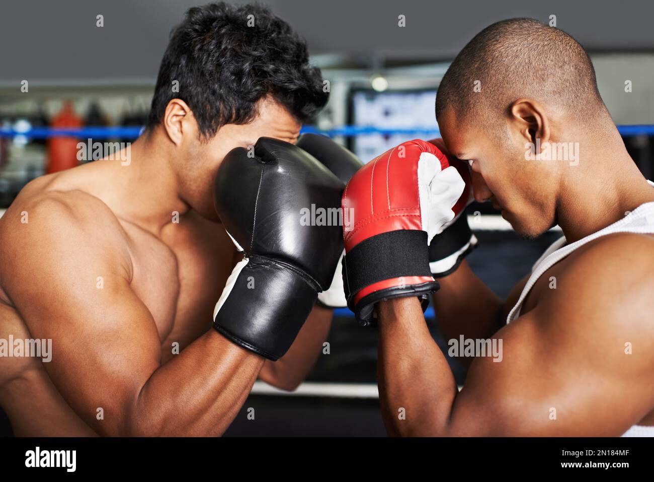Sparring faccia a faccia. due giovani pugili sparano in un anello. Foto Stock