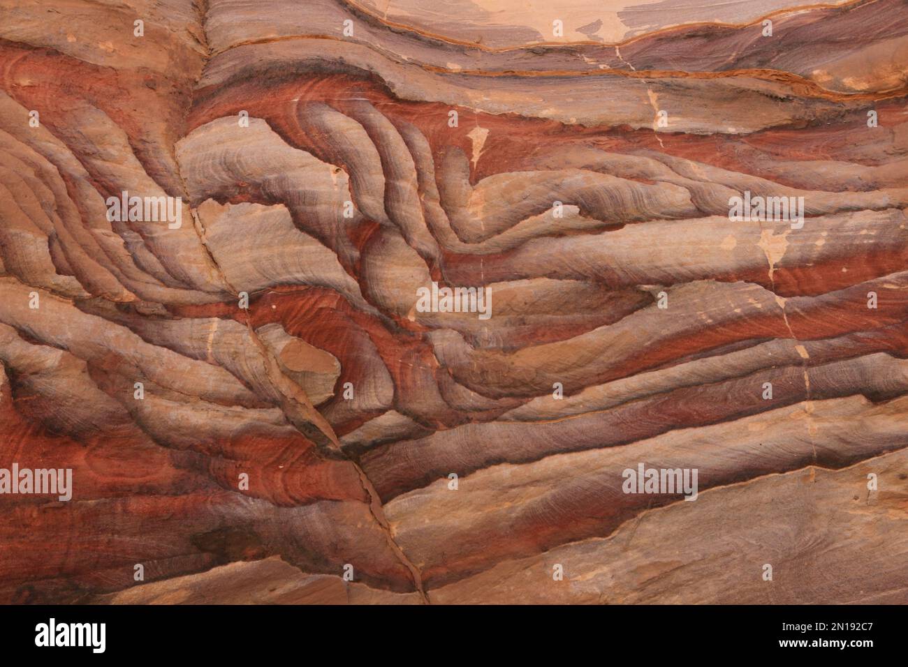 Arenaria colorata, Petra, Giordania Foto Stock