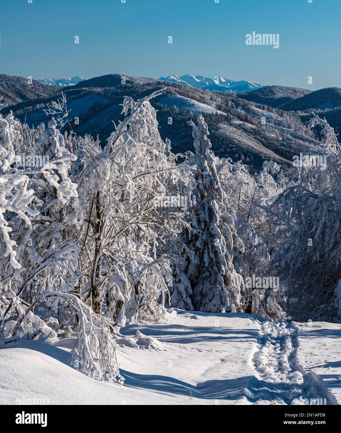 Colline più vicine delle montagne di Beskid e delle montagne di Tatra sullo sfondo dalla collina di Kykula in inverno le montagne di Kysucke Beskydy sul polish - bord slovacco Foto Stock