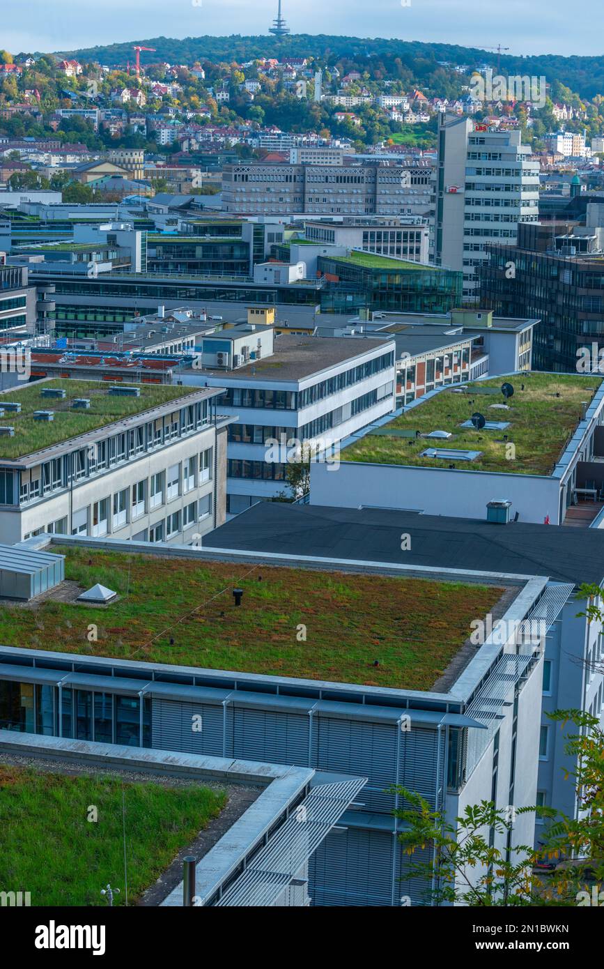 Tetto verde su edifici a tetto piatto a Kronenstaffel, Stoccarda, Baden-Württemberg, Germania meridionale, Europa Foto Stock