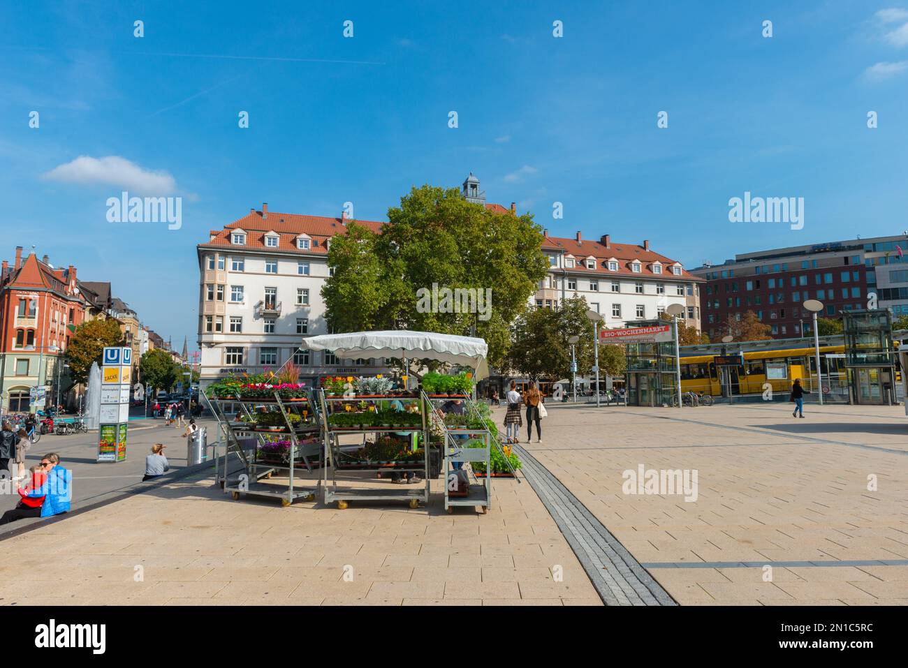 Zacke, Bio-Wochenmarkt am Marienplatz Stoccarda Foto Stock