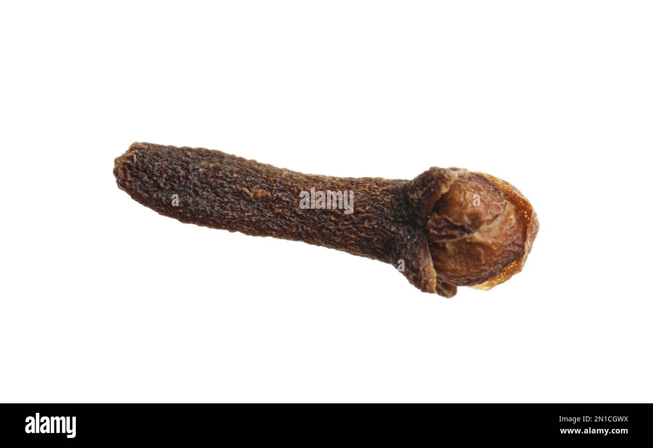 Chiodo di garofano asciutto isolato su bianco. Ingrediente VIN brulé Foto Stock