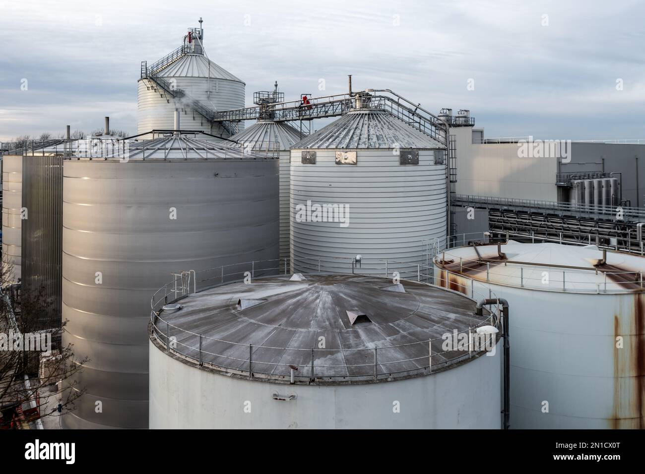Vista aerea sopra file di serbatoi di stoccaggio di sostanze chimiche e silos di olio e carburante in un sito industriale Foto Stock