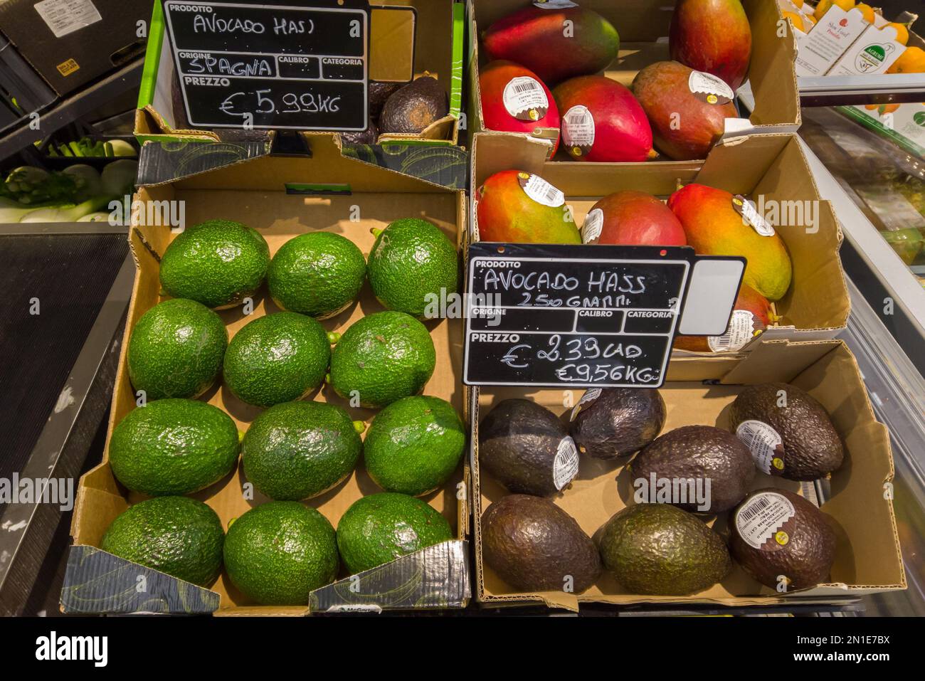 Italia - 5 febbraio 2023: Vari tipi e colori di asino di avocado in scatole di cartone su scaffale per la vendita con prezzi in euro in un supermercato italiano Foto Stock