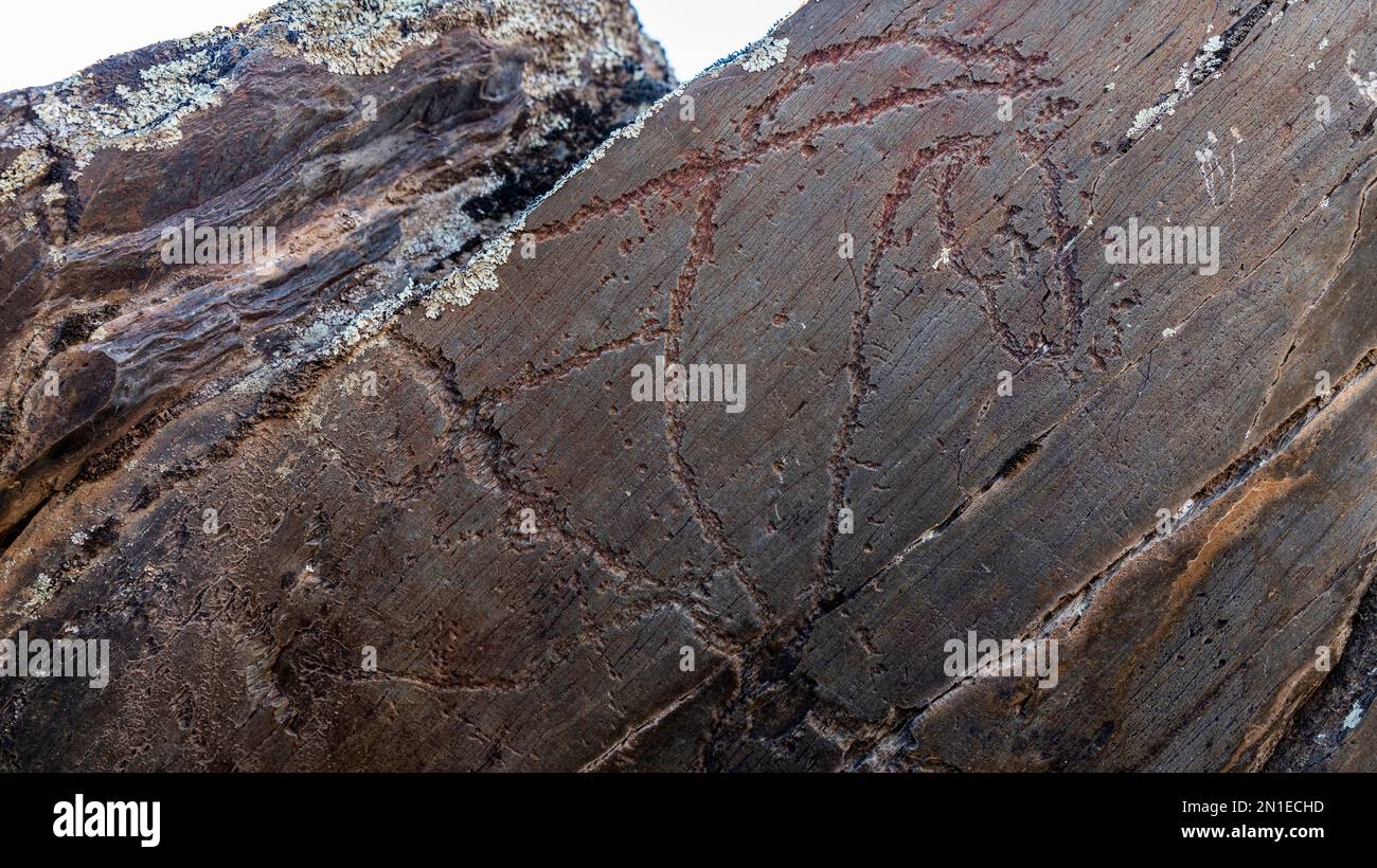 Sculture rupestri, Arte Paleolitica, Siega Verde, Patrimonio dell'Umanità dell'UNESCO, Serranillo, Villar de la Yegua, Castiglia e Leon, Spagna, Europa Foto Stock