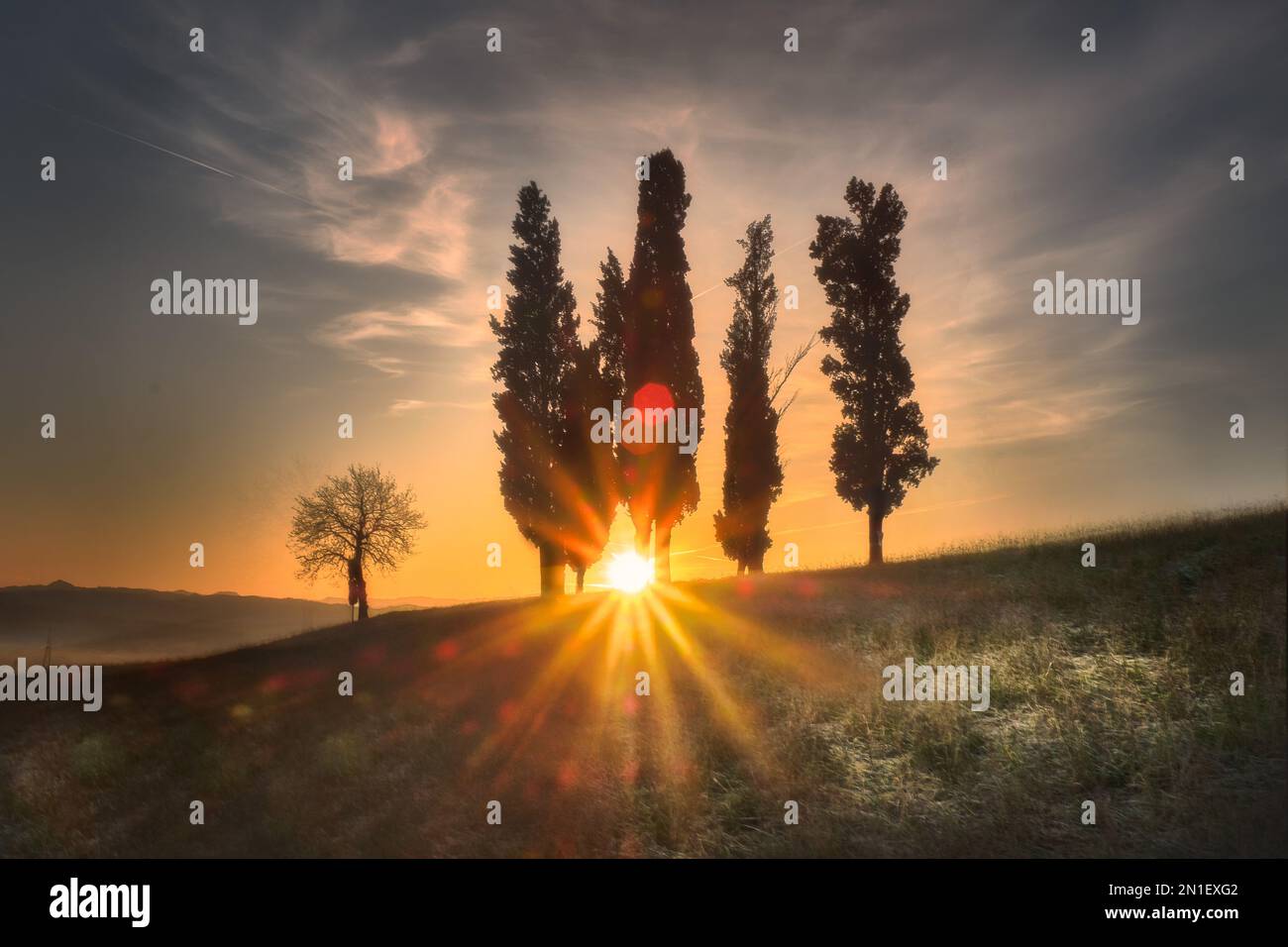 Alba dietro un gruppo di cipressi con un sunburst che filtra attraverso di loro, Italia, Europa Foto Stock