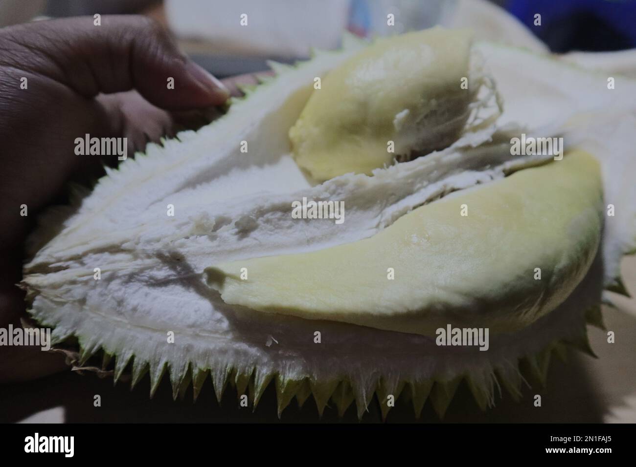 Vista dall'alto di frutta fresca di colore giallo Durian con sfondo sfocato Foto Stock