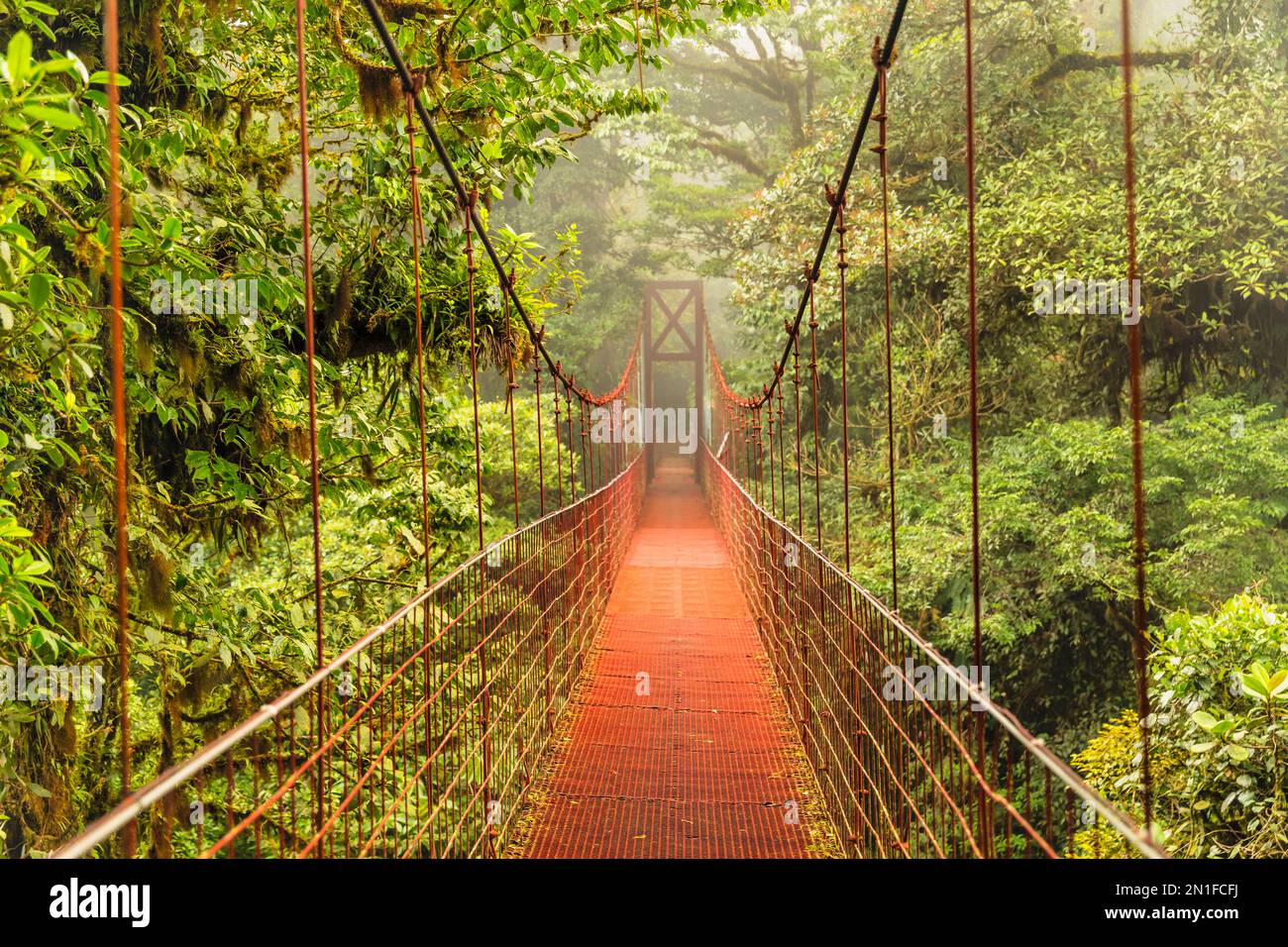 Ponte sospeso in una foresta nuvolosa, Monteverde, Reserva biologica Bosque Nuboso Monteverde, Puntarenas, Costa Rica, America Centrale Foto Stock