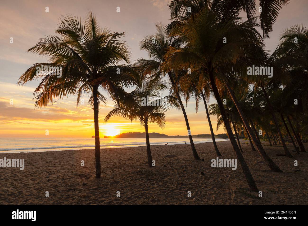 Playa Carrillo, Penisola di Nicoya, Guanacaste, Costa Rica, America Centrale Foto Stock