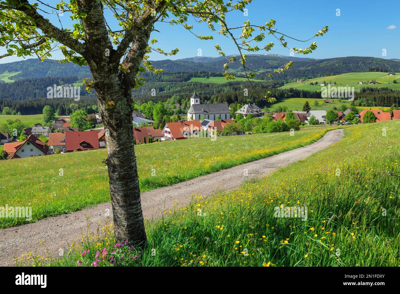 Vista da Breitnau al Monte Feldberg, Foresta Nera, Baden-Wurttemberg, Germania, Europa Foto Stock